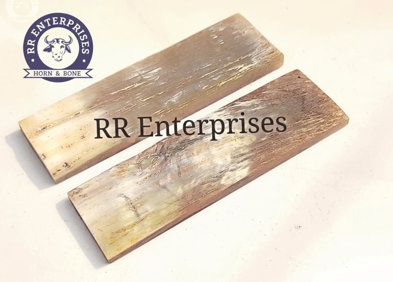 Horn Burnt Polished Scale